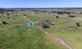 Imagem: FAZENDA À VENDA - 2.500 HECTARES - JAÍBA