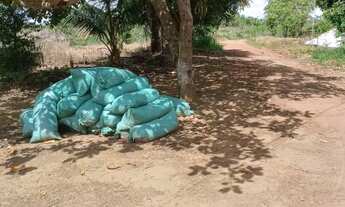 Imagem 2: Vendo excelente sítio no município de Jaguaripe