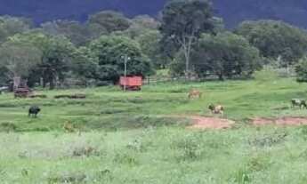 Imagem 5: FAZENDA 354 ALQUEIRES COLINAS DO SUL (GO