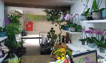 Imagem 7: LOJA - BELA VISTA - SP