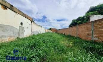 Imagem 7: Terreno Padrão para alugar, 462 m²- Vila Recreio