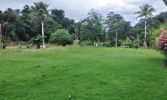 Imagem 3: Sítio 333 x 1.000 na BR 174 Ramal do Pau - Rosa 600.001,00