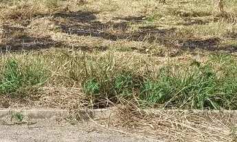 Imagem 2: Excelente Lote de Esquina para Morar Investir Alugar Comercial