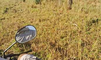 Imagem: Fazenda arrendamento pra GADO, 239 alqueires