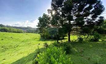 Imagem 5: Excelente área para investimento em ecoturismo em Valinhos!