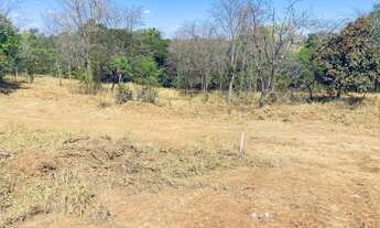 Imagem 6: Chácaras apartir de 1000 m apenas 65 km de Goiânia 1.5 km de chão