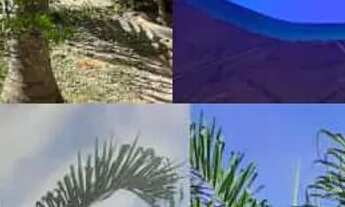 Imagem 4: Aluguel Rancho curumba 3