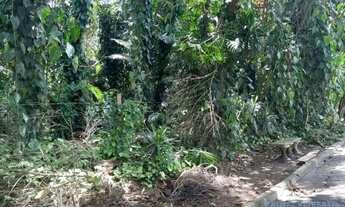 Imagem 2: TERRENO EM CONDOMÍNIO - ALVARENGA - SP