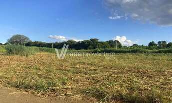 Imagem 3: área - Betel - Paulínia