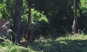 Imagem 3: ? OPORTUNIDADE NA ZONA NORTE - TERRENO À VENDA! ?