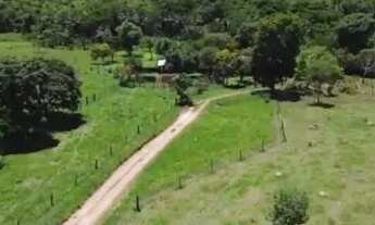 Imagem 6: Cromínia - São 8.6 alq. situada à 64 km de Goiânia -BR 153, sendo 50 km de asfalto e 14