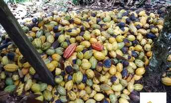 Imagem 2: Áreas à venda em rua pública, ZONA RURAL, Ubatã, BA