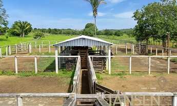 Imagem: Fazenda à venda Tocantins permuta