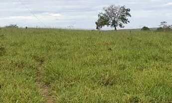 Imagem: VENDO 4 ALQUEIRES RURAL