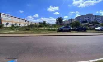 Imagem 2: Terreno Plano no Bairro São Vicente em Gravataí Excelente Localização e Oportunidade