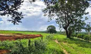 Imagem 6: Terrenos de Chácaras à Venda - Estrada do Barbalho, Próximo à UNESPAR