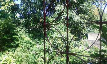 Imagem: Vendo ou troco