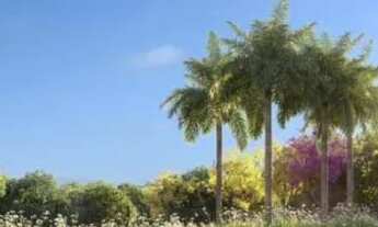 Imagem: Casa Jardins Lyon