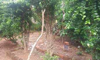 Imagem 4: Casa Com Quintal Amplo Em Lote 360 Metros