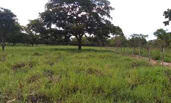 Imagem 5: Chacara próxima ao balneário Lagoa Rica e aeroporto Santa Maria