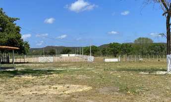 Imagem 7: Sítio à venda - Altos/PI