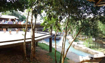 Imagem 6: Sítio em São Vicente / Baldim MG - Área para camping