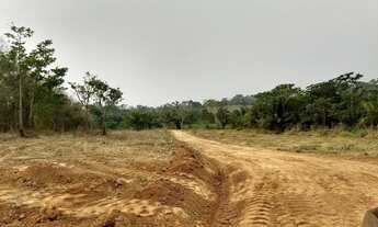 Imagem 4: Terra com escritura 30.000m²