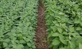 Imagem 2: Crédito Imobiliário de R$ 100.000 a R$ 10.000.000