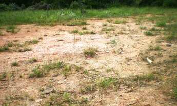 Imagem 1: Terreno - Vale Verde - Valinhos