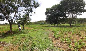 Imagem 3: Chácara de 5.000 Metros na Nova Petrópolis - Planaltina GO