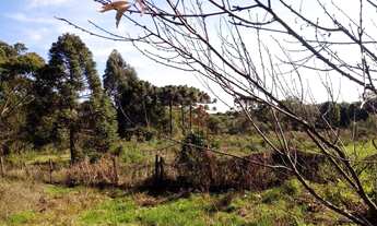 Imagem 2: Sítio no bairro Capão Alto em São Francisco de Paula!