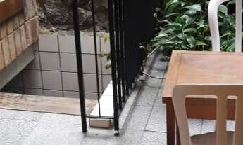 Imagem 7: COMERCIAL - PARAÍSO - SP