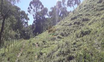 Imagem 4: A Maior Imobiliária Rural do Vale do Paraíba! - Cód 1573