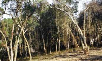 Imagem 3: Ibiúna - Terreno Padrão - Paruru