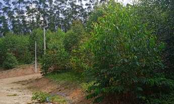 Imagem 2: RP} chacará do sonhos