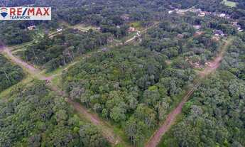 Imagem 5: Chácara à venda, 1000 m² por R$ 150.000 - Borda Do Campo - São José dos Pinhais/PR