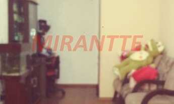 Imagem 2: Lindo apartamento em Vila Nova Cachoeirinha