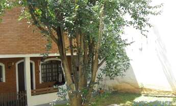 Imagem 5: CASA TÉRREA - LAPA - SP