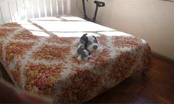 Imagem 6: Apartamento - 02 quartos - Engenho Novo