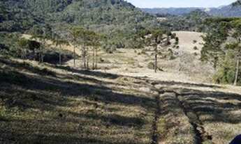Imagem 3: Vendo Sitio em Rancho Queimado