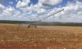 Imagem 5: 156 hc com 92 hc de pivor apenas 170 km de bh