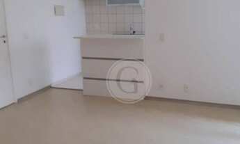 Imagem 5: OPORTUNIDADE ÚNICA !!!