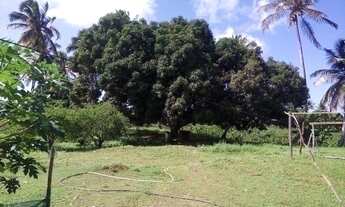 Imagem 4: VENDO UMA ILHA EM PIAÇABUÇU