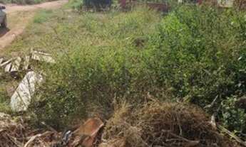 Imagem 2: Lote setor rosa dos ventos de esquina 449 metros