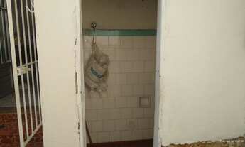 Imagem 4: CASA C/3 DORMITÓRIOS, 3 VAGAS, AMPLO QUINTAL COM MUITO VERDE, AO LADO DA AV. ERMANO MARCHE