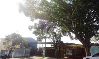 Imagem 2: Terreno comercial à venda, Butantã, São Paulo - TE0005