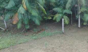 Imagem 4: Terreno Chácara com venda por R$25.000