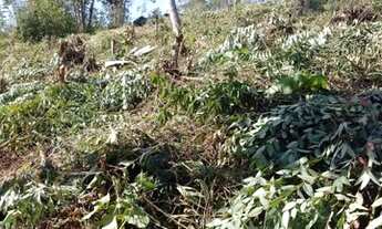 Imagem 4: CHÁCARA A 30 m PRATICAMENTE NA ESTRADAdo quilômetro 22 em Nazaré Paulista 1000 m²