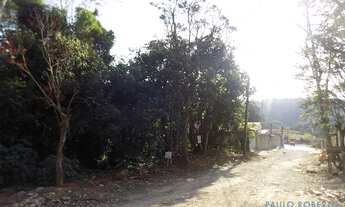 Imagem 4: TERRENO - JARDIM PIONEIRA - SP