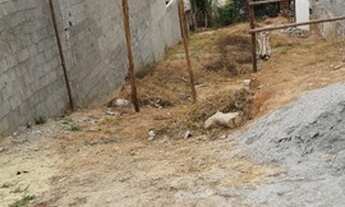 Imagem 3: Terreno Terreno / lote com venda por R$190.000